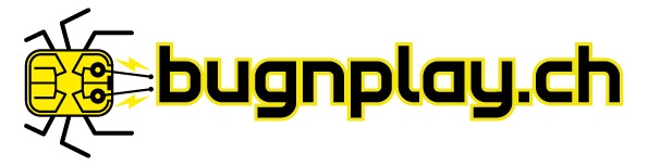 bugnplay.ch 2010: 4