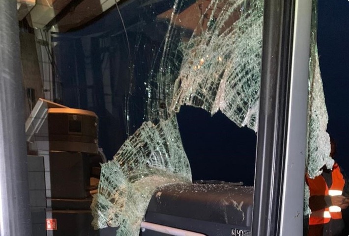 POL-NB: Verkehrsunfall zwischen Linienbus und Damwild