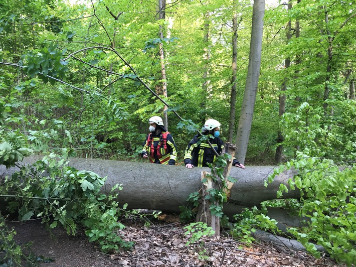 FW-BO: Umgestürzter Baum, viel Glück gehabt!