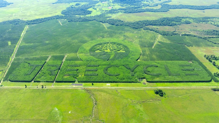 TREECYCLE erhält erneut grünes Licht: Impact-Investment wächst weiter / Der Kreislauf für Mensch, Natur und Rendite