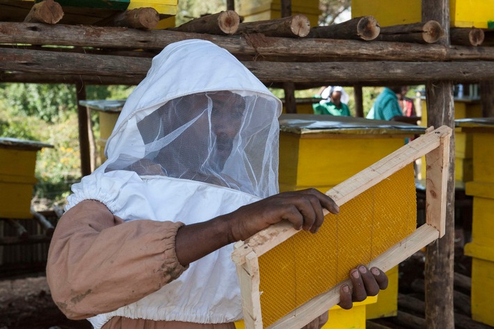 Zum Weltbienentag am 20. Mai 2019 / Äthiopien: Arbeitsplätze dank Bienen