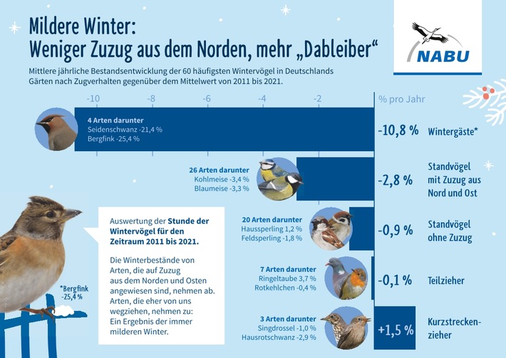 NABU: Wenig Meisen, aber viele Spatzen gezählt / &quot;Stunde der Wintervögel&quot; übertrifft Teilnahmerekord von 2020 um 65 Prozent