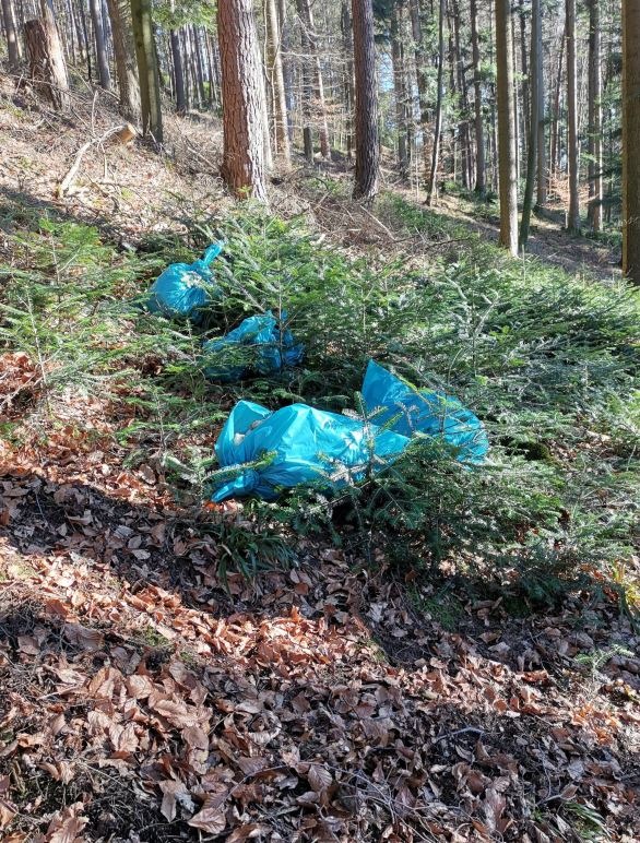 POL-OG: Haslach - Schlachtabfälle im Wald entsorgt, Zeugen gesucht