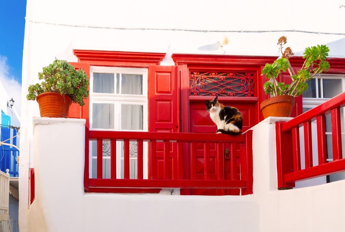 Housesitting statt Hotel: So sichert man sich richtig ab