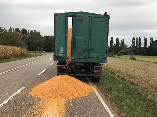 POL-PDLD: Billigheim-Ingenheim, L544, 24.9.19, 16.50 Uhr
2 Tonnen Mais verloren