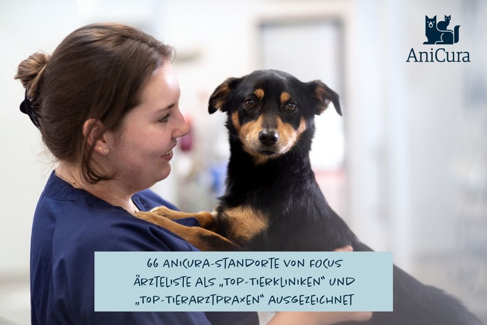 66 AniCura-Standorte von FOCUS Ärzteliste als „Top-Tierkliniken“ und „Top-Tierarztpraxen“ ausgezeichnet