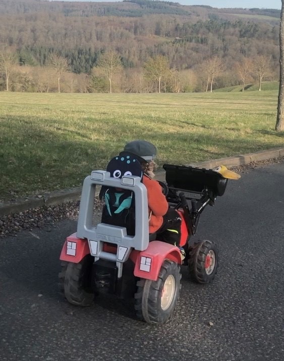 POL-RTK: +++Einbrecher verscheucht+++Feldbrand bei Wallrabenstein+++Briefkasten aufgebrochen+++Tret-Traktor vor Kindergarten geklaut+++