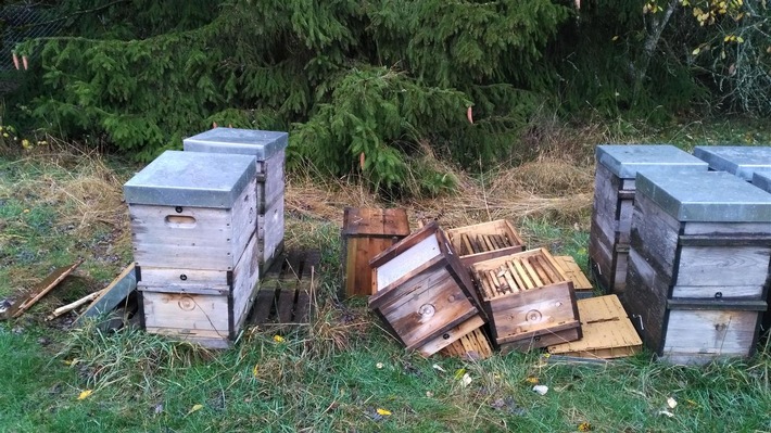 POL-PDMY: Vandalismus an und Diebstahl von Bienenvölkern