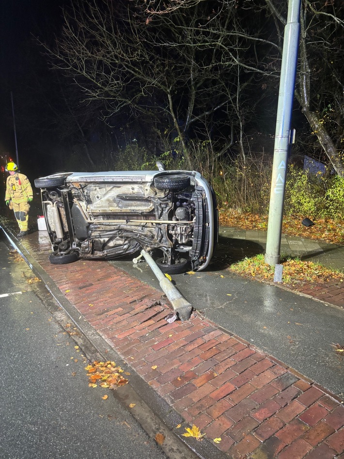 POL-WHV: Tier ausgewichen, gegen Ampelmast geschleudert