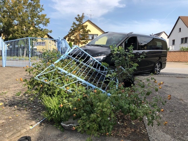 POL-PDLU: Speyer - Alkoholisierter Van-Fahrer kollidiert mit Zaun (25/2009)