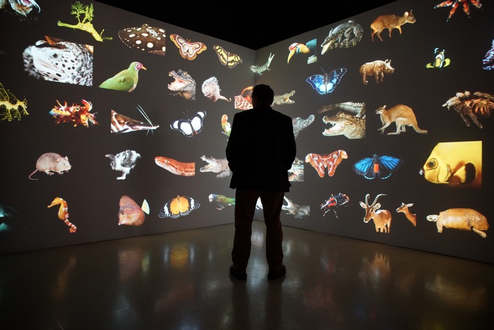 Atemberaubende Aufnahmen: "Photo Ark mit Joel Sartore" begleitet den Fotografen auf seiner Mission zur Rettung der Tiere