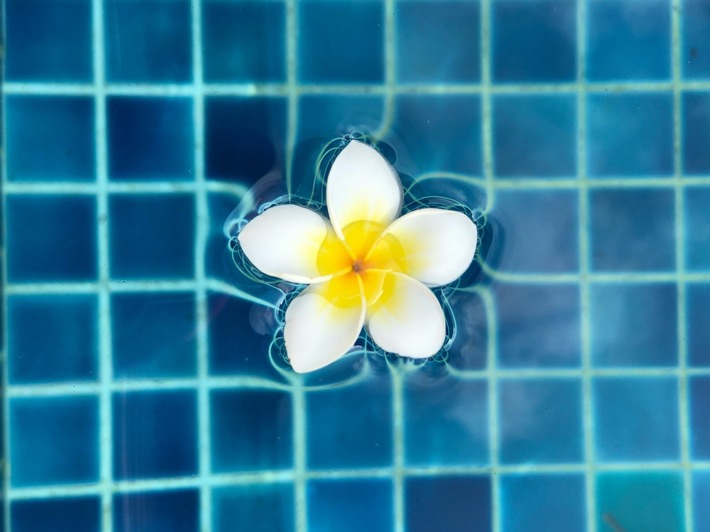 Mit dem Frühling kommt die Poolvorbereitung - Schwimmbadscout.ch für Ihre Poolreinigung & Zubehör