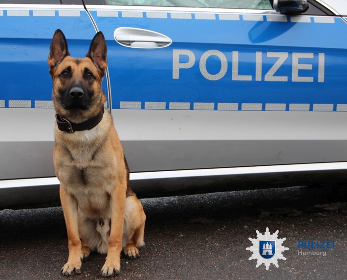 POL-HH: 210419- 1. Flucht nach Verfolgungsfahrt - Diensthund Ori findet Fahrer - eine vorläufige Festnahme in Hamburg-Billstedt
