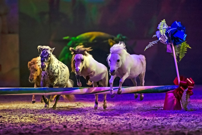 Geschenktipp zu Weihnachten: CAVALLUNA - "Legende der Wüste" / Ein märchenhaftes Abenteuer durch den Orient