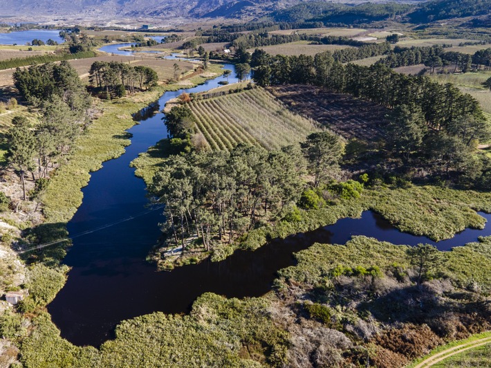 Wasser schützen, Zukunft sichern: EDEKA unterstützt drei neue Projekte in wasserkritischen Anbauregionen