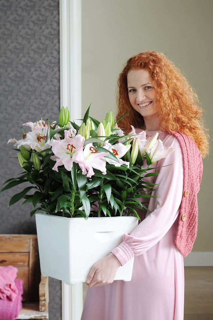 Lilie ist Zimmerpflanze des Monats Februar / Als Zimmerpflanze zeigt die elegante Lilie ihre Vielfalt (mit Bild)