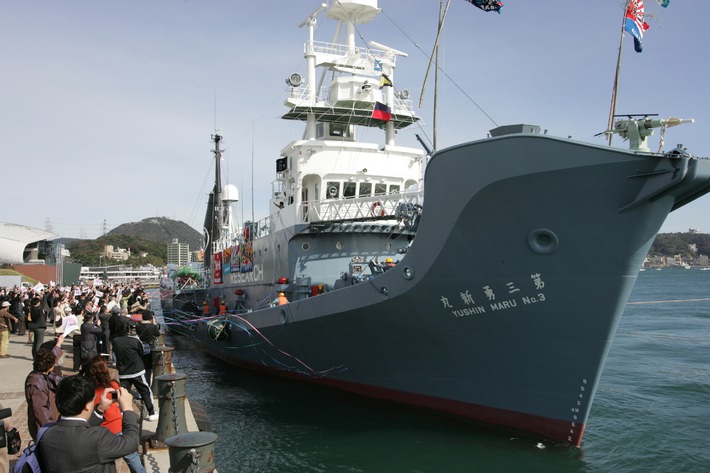 Japanische Walfangflotte geht auf Jagd