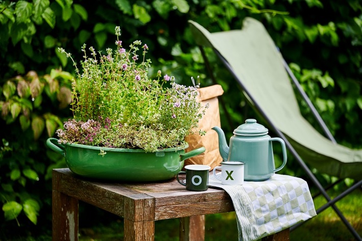 Outdoor-Pflanzen für trockene Sommertage / Tipps für die heiße Jahreszeit