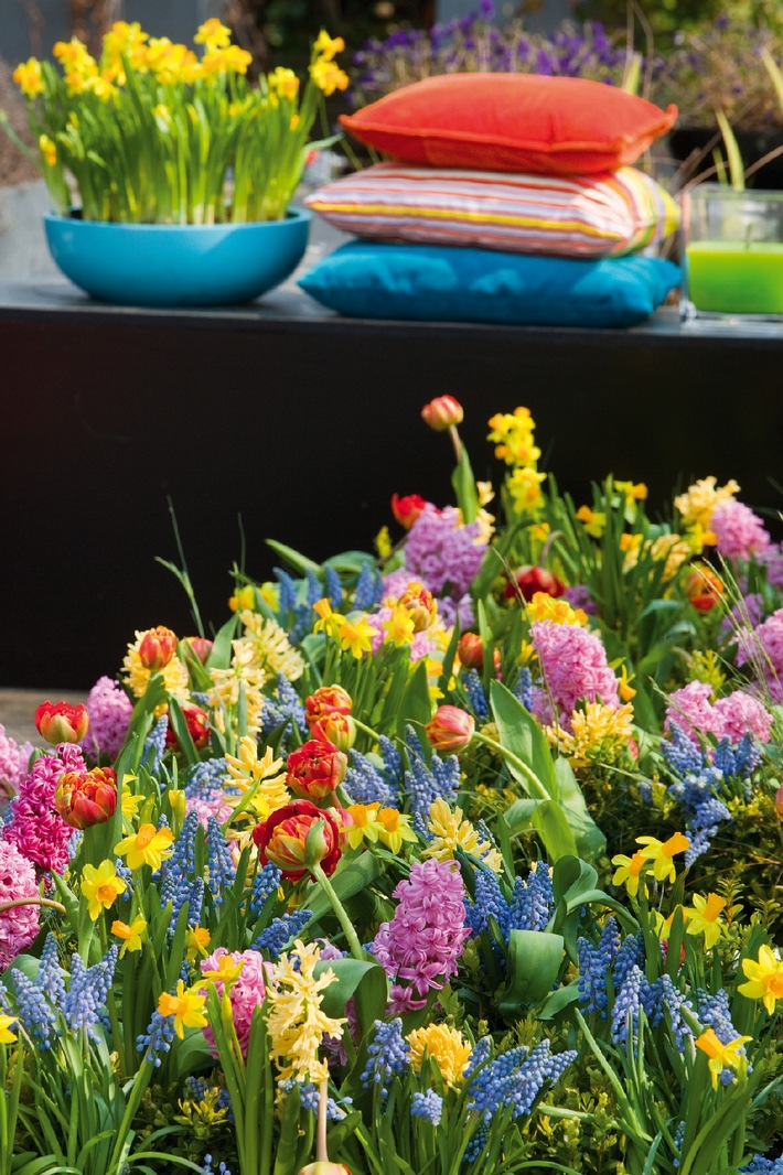 Frühlingsauftakt: Zwiebelblüher für Balkon, Garten und Terrasse (mit Bild)