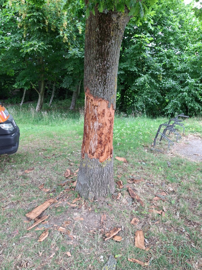 POL-HS: Unbekannte schälen Rinde von Baum / Zeugen gesucht