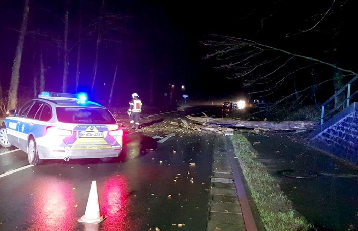 POL-RBK: Odenthal - Umgestürzter Baum stoppt Mercedes