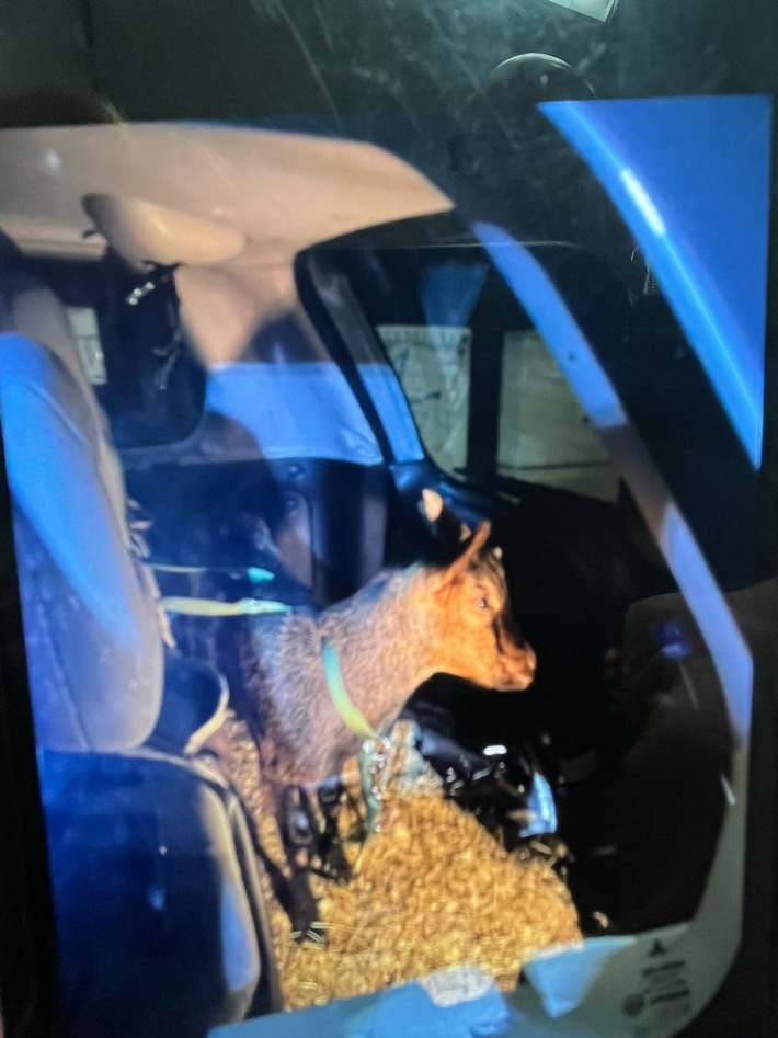 POL-DO: Polizeikontrolle der etwas anderen Art: Trunkenheitsfahrt mit tierischer Überraschung