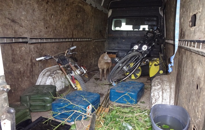 POL-BO: KORREKTUR: Polizisten befreien Lamm aus Transporter