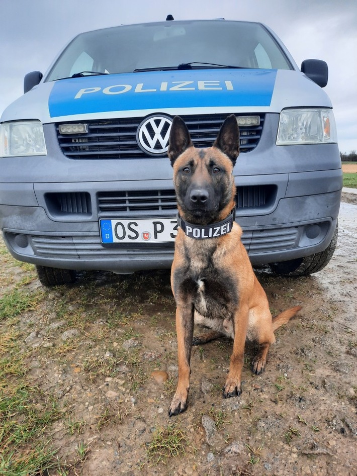 POL-OS: Osnabrück/Georgsmarienhütte/Hagen a.T.W.: Spektakulärer Ermittlungserfolg - Polizei deckt Heroinhandel in der Osnabrücker Innenstadt auf - Über 20 Abnehmer identifiziert - 46-Jähriger in U-Haft