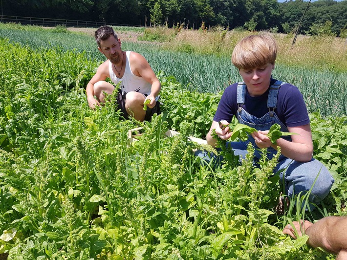 Permakultur im Blick: &quot;plan b&quot; im ZDF über natürliche Landwirtschaft (FOTO)