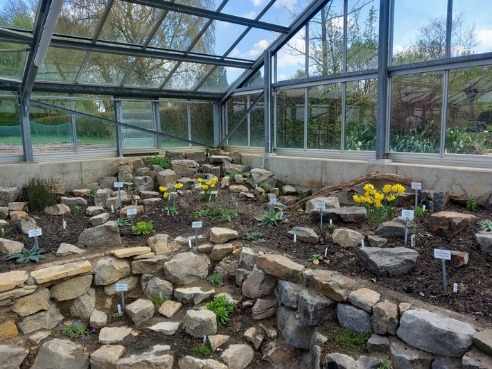 Wie überstehen Pflanzen Hitze und Trockenheit? Eröffnung des neuen Mittelmeerhauses im Botanischen Garten der Uni Osnabrück