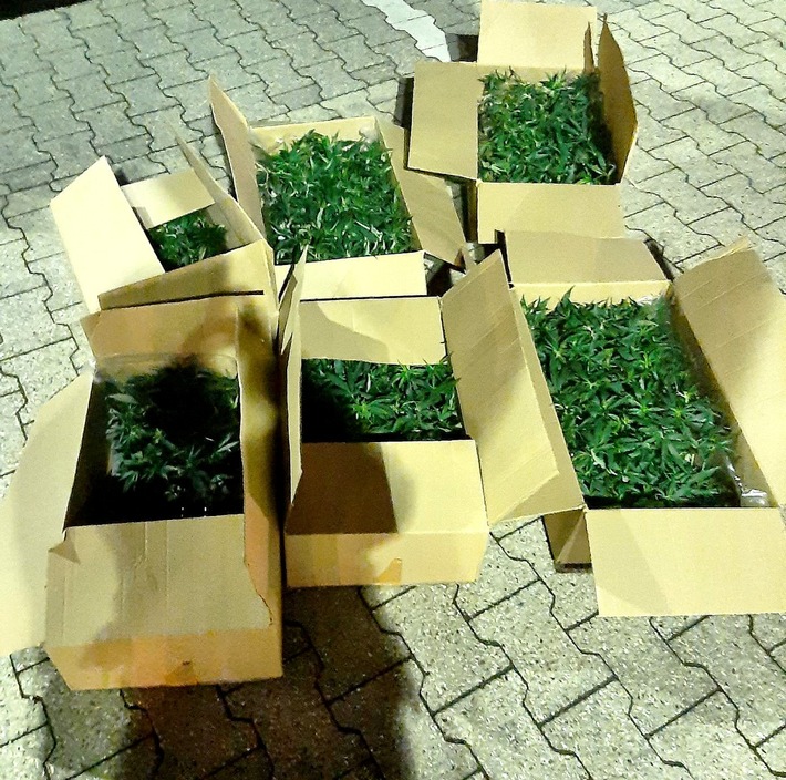 BPOL NRW: Mann mit über 450 Cannabispflanzen von Bundespolizei vorläufig festgenommen