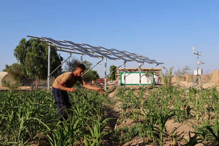 How a multi-stakeholder partnership is advancing Agrivoltaics in Egypt