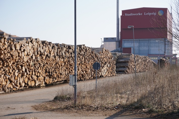 Wertvolles Holz landet in Kraftwerken und in der Pelletproduktion