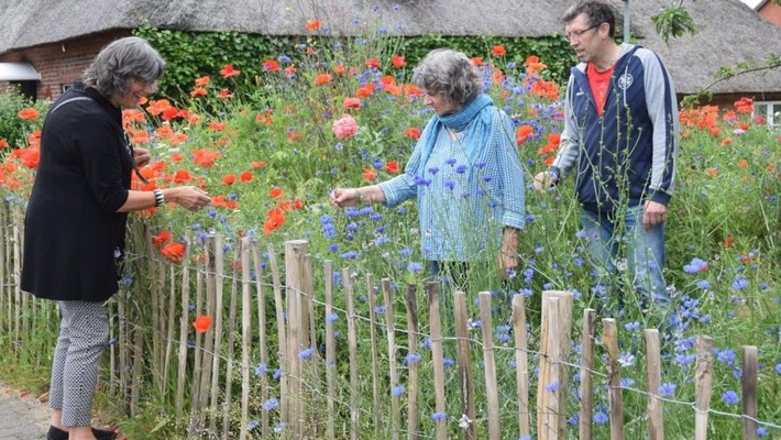 „Villa für Wildbienen“ und „Neu-Balkonesien“: Jetzt noch beim Pflanzwettbewerb 2022 mitmachen!