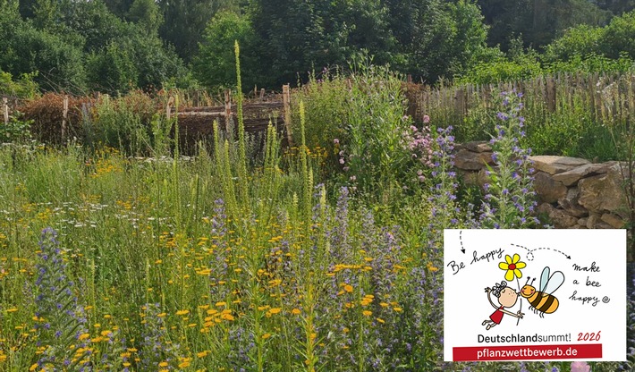 Deutschland summt!-Pflanzwettbewerb: Beste Naturgartenprojekte 2026 ausgezeichnet