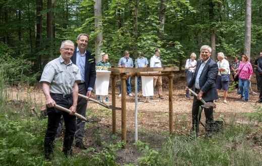 FriedWald Lehnin eröffnet – letzte Ruhe unter Bäumen südwestlich von Berlin