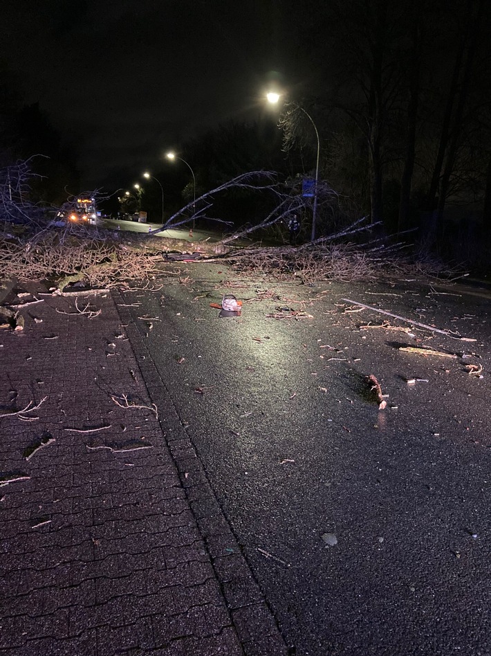 POL-BO: Baum fällt auf fahrenden Pkw