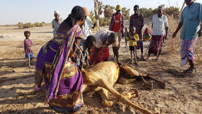 Hunger in Afrika: Kinder betteln auf der Straße um Wasser / Helfer im Bündnis &quot;Aktion Deutschland Hilft&quot; berichten von katastrophalen Zuständen im Norden von Kenia