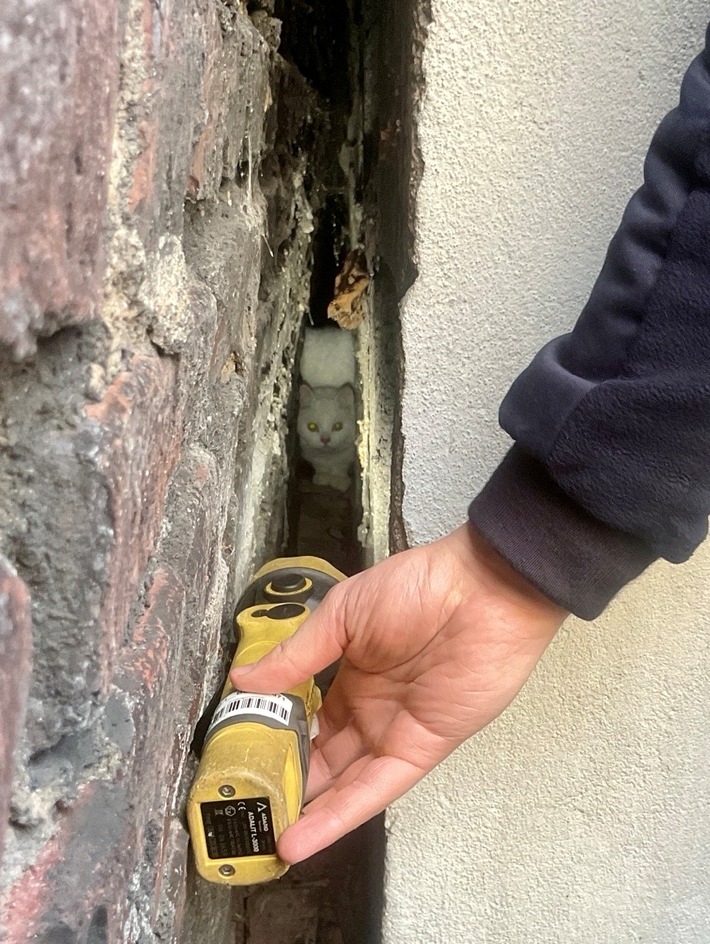 FW-BO: Kätzchen aus Zwangslage befreit