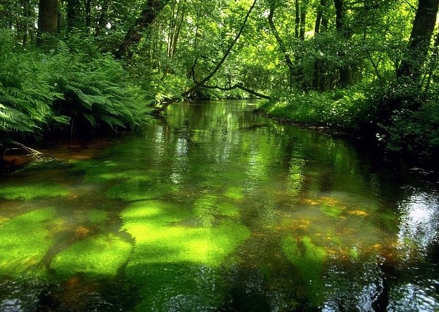 DBU: Sorgsam mit Wasser umgehen