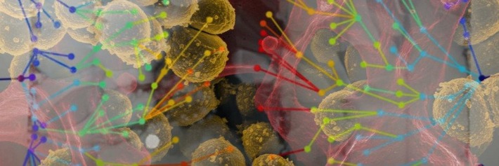 Corona-Pandemie und Antibiotikaresistenz - vom Spital zum Stall