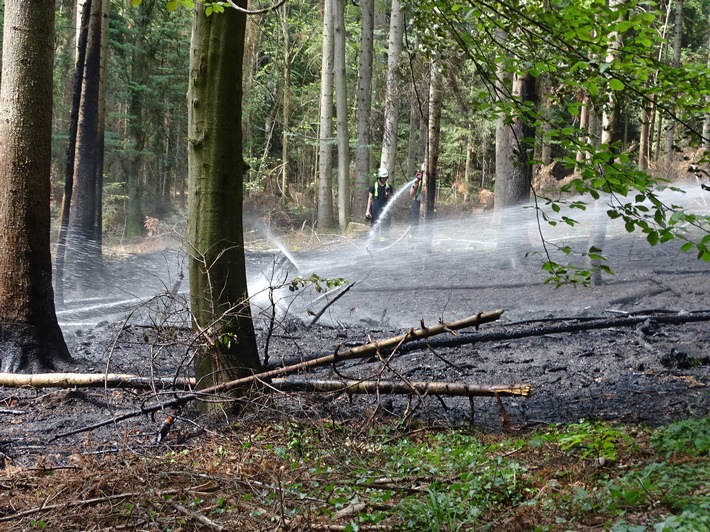 KFV-CW: Waldfläche in Brand / Feuerwehr verhindert Ausbreitung