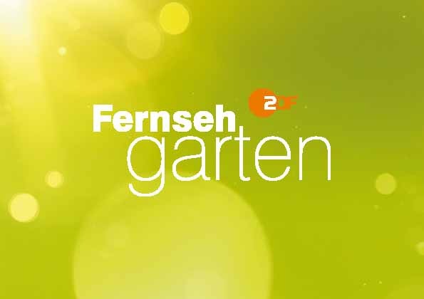 Joachim Llambi und Lutz van der Horst vertreten Andrea Kiewel im "ZDF-Fernsehgarten"