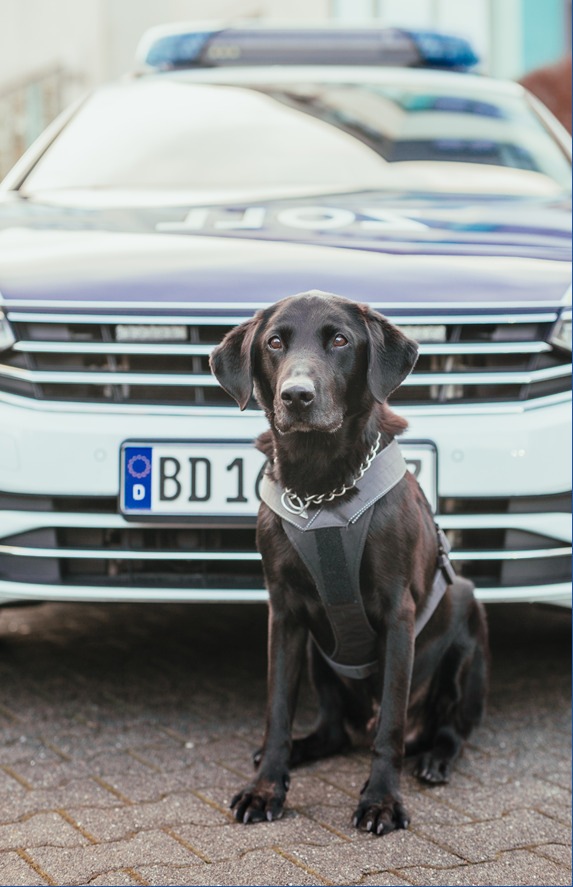 HZA-BI: Bielefelder Zollhund Elvis verabschiedet sich in den Ruhestand Nachfolgerin Skadi tritt nun in mächtige Pfotenabdrücke