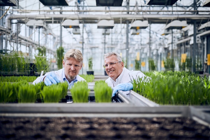 BASF mit aktuellen Pressefotos zur Herbstpressekonferenz am 24.10.2019 (FOTO)