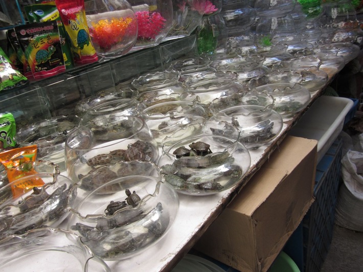 COVID-19 : Les ONG appellent l