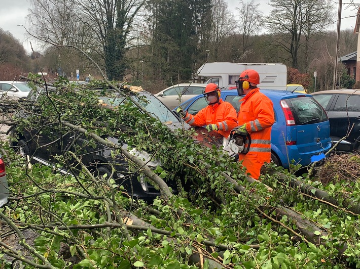 FW-Stolberg: Baum auf Auto