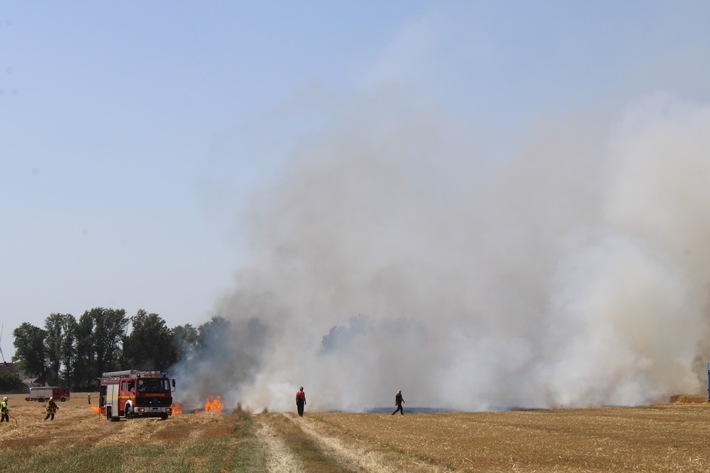 POL-DN: Weizenfeld abgebrannt