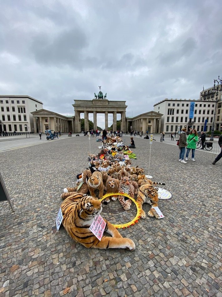 Ankündigung: Die Demo der Tiere – 1.000 Stofftiere auf dem Hamburger Rathausmarkt
