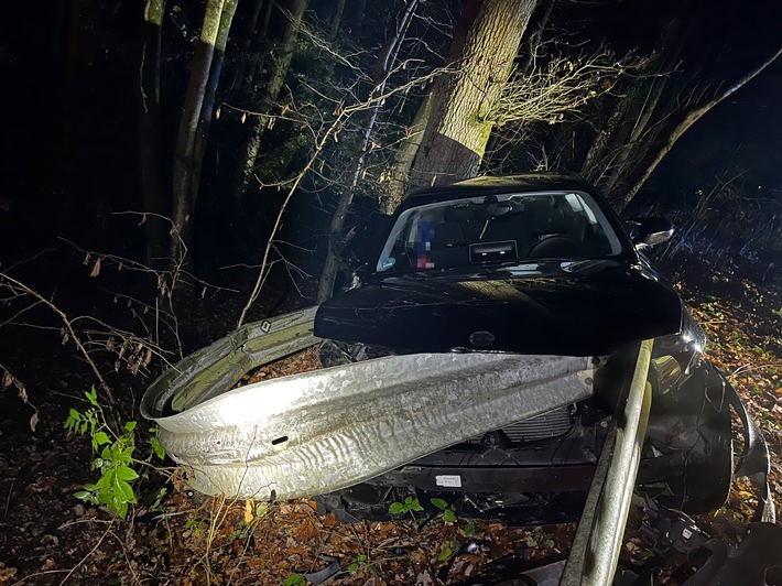 POL-GM: Wild ausgewichen und in Leitplanke gekracht